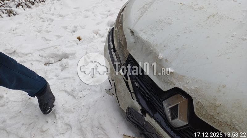 Фото Renault Logan 22