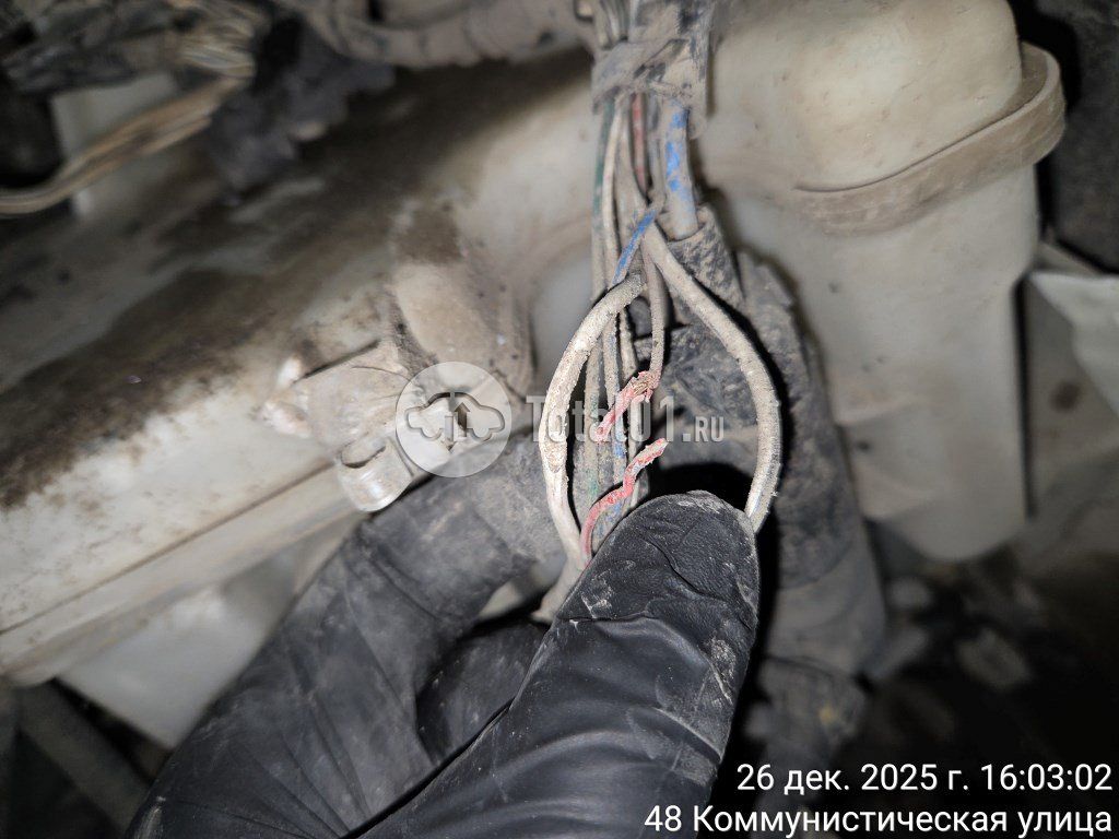 Фото Toyota Corolla 32