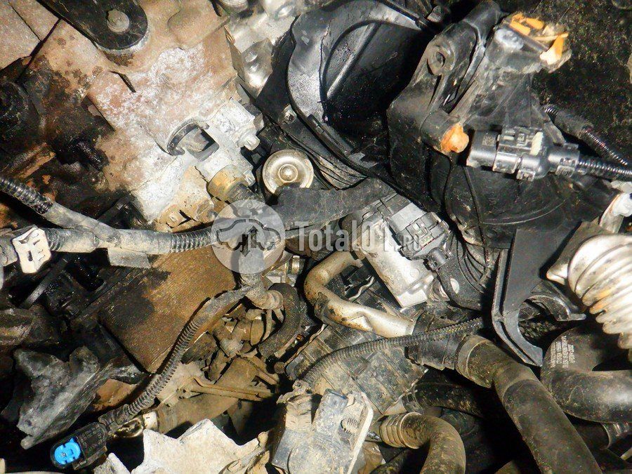 Фото Mercedes-Benz V-класс 294