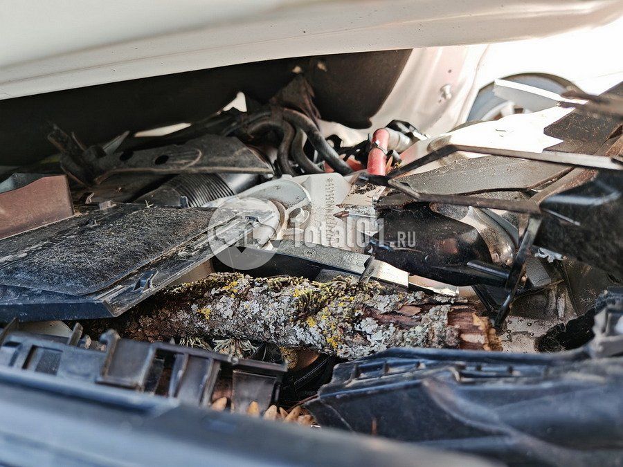 Фото Audi A6 170