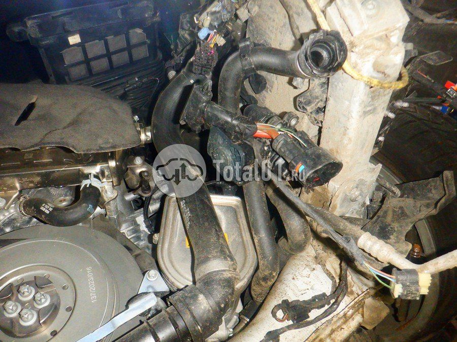 Фото Mercedes-Benz S-класс 288