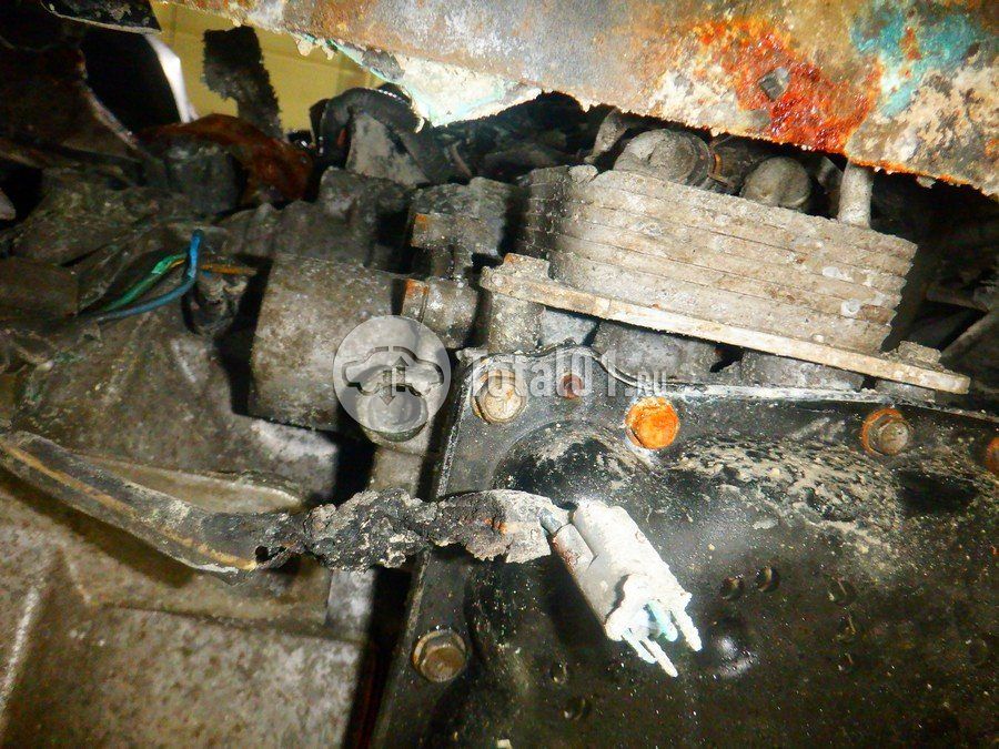 Фото Nissan X-Trail 364