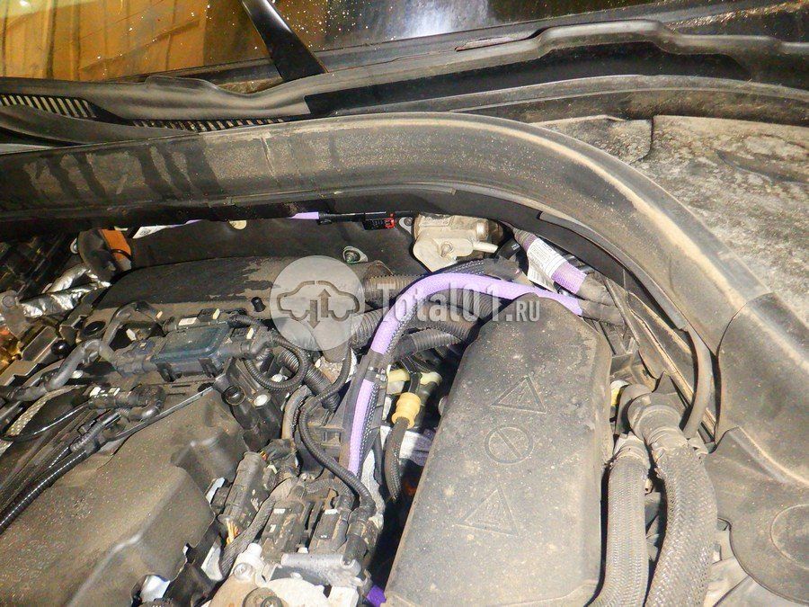 Фото BMW 6 серия 398