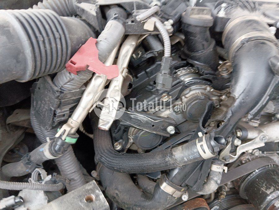 Фото Toyota Land Cruiser 70