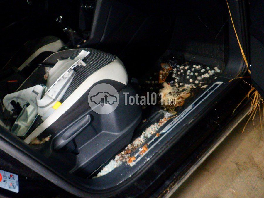 Фото Volkswagen Tiguan 24