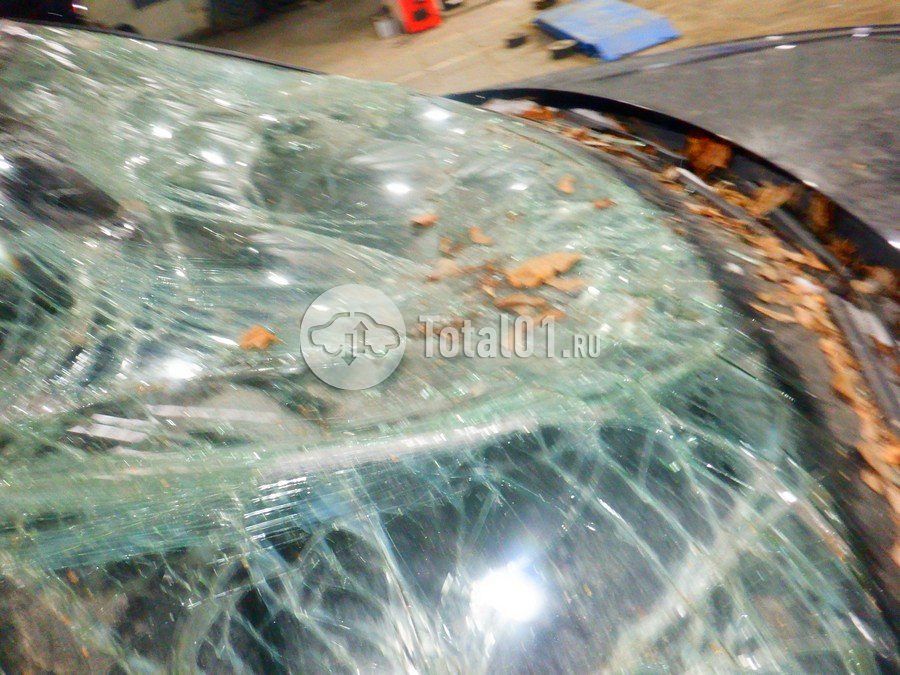 Фото Volkswagen Tiguan 136