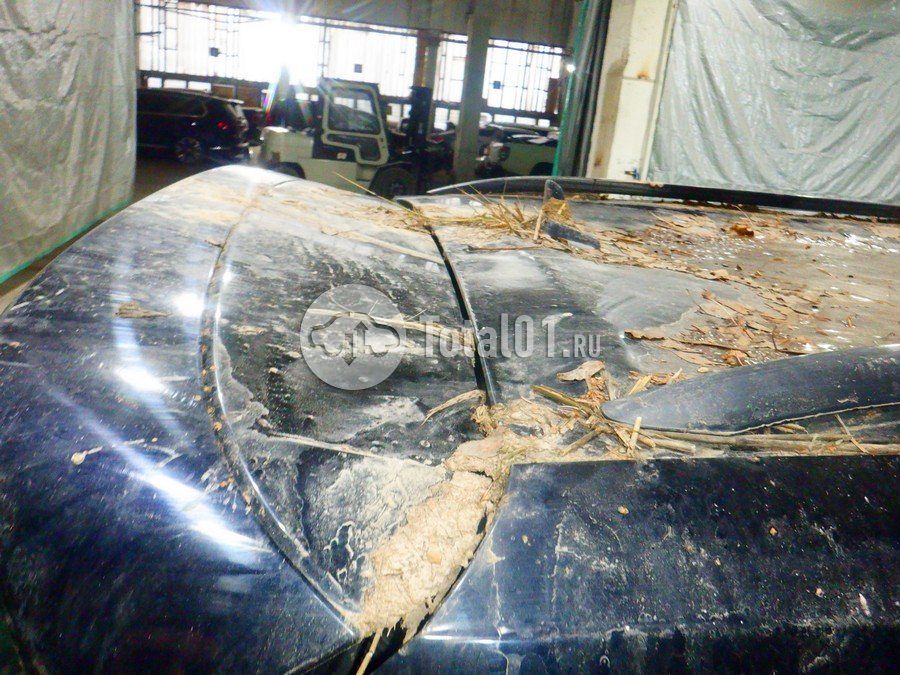 Фото Volkswagen Tiguan 164