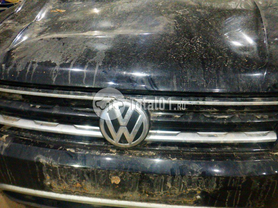 Фото Volkswagen Tiguan 246