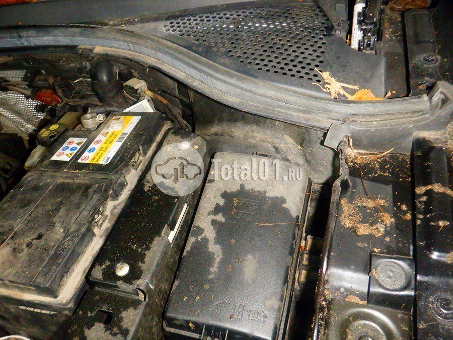 Фото Volkswagen Tiguan 252