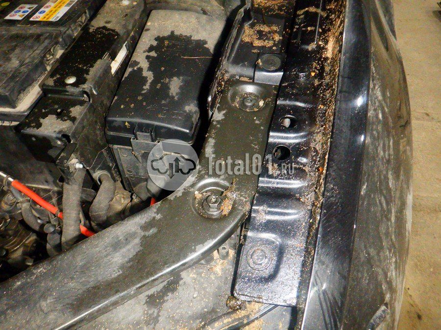 Фото Volkswagen Tiguan 254