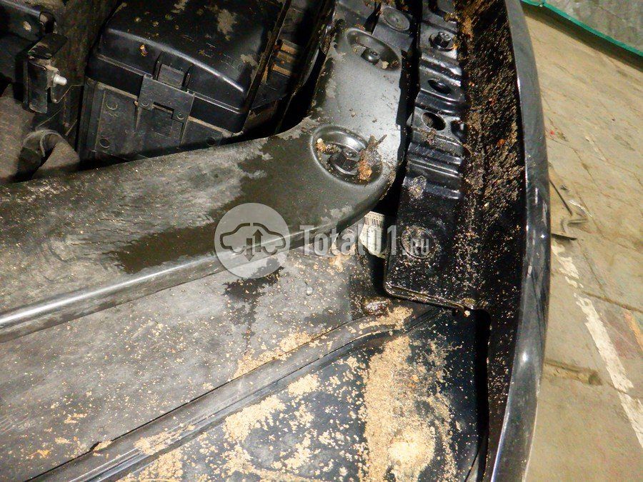 Фото Volkswagen Tiguan 256