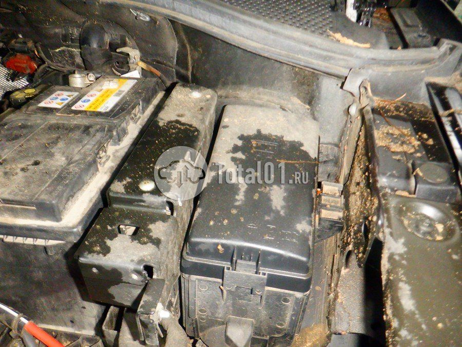 Фото Volkswagen Tiguan 262