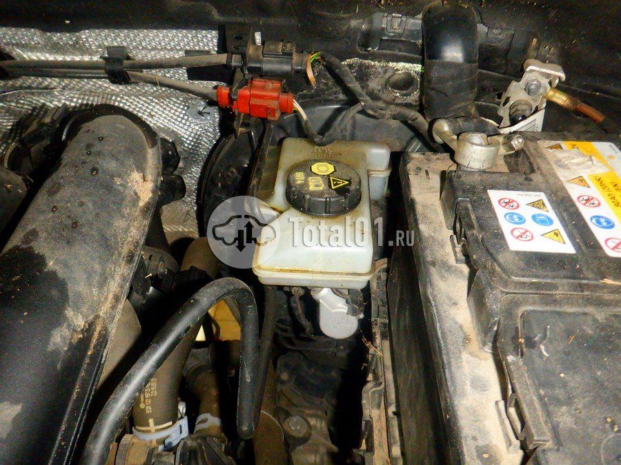 Фото Volkswagen Tiguan 266