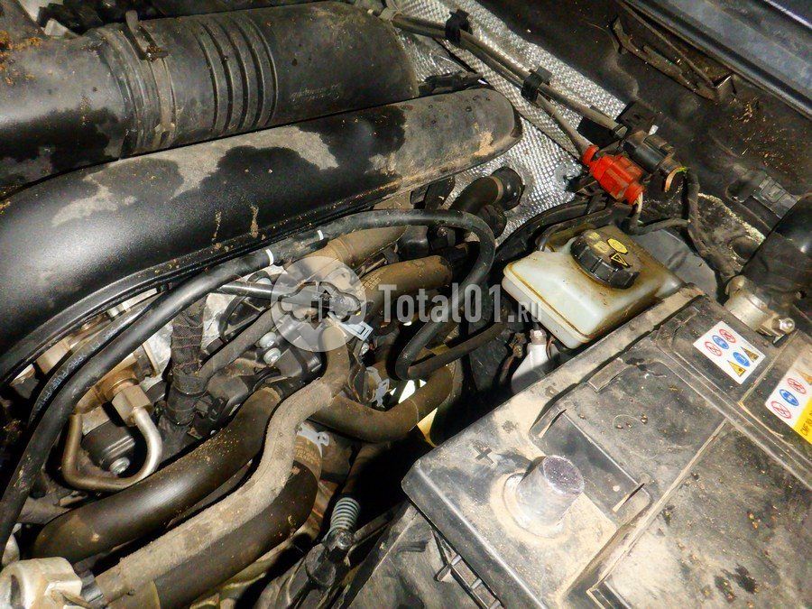 Фото Volkswagen Tiguan 274