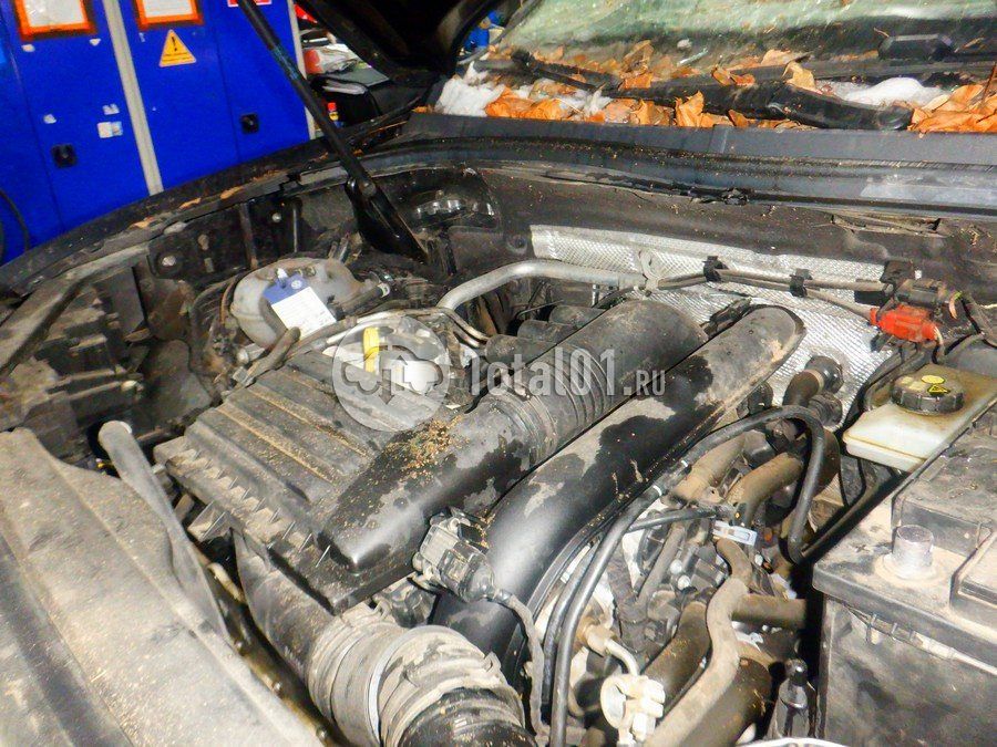 Фото Volkswagen Tiguan 276