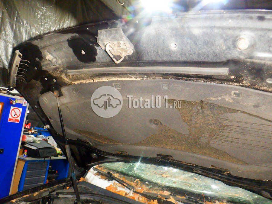 Фото Volkswagen Tiguan 278