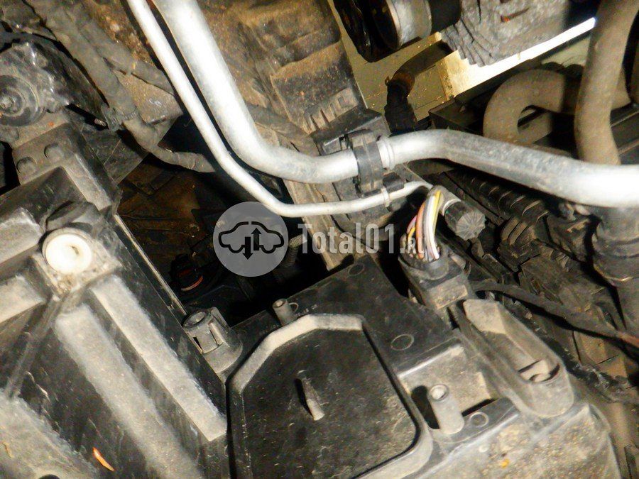 Фото Volkswagen Tiguan 286