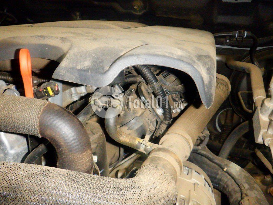 Фото Great Wall King Kong Poer 224