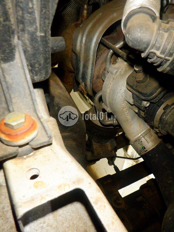 Фото Great Wall King Kong Poer 252