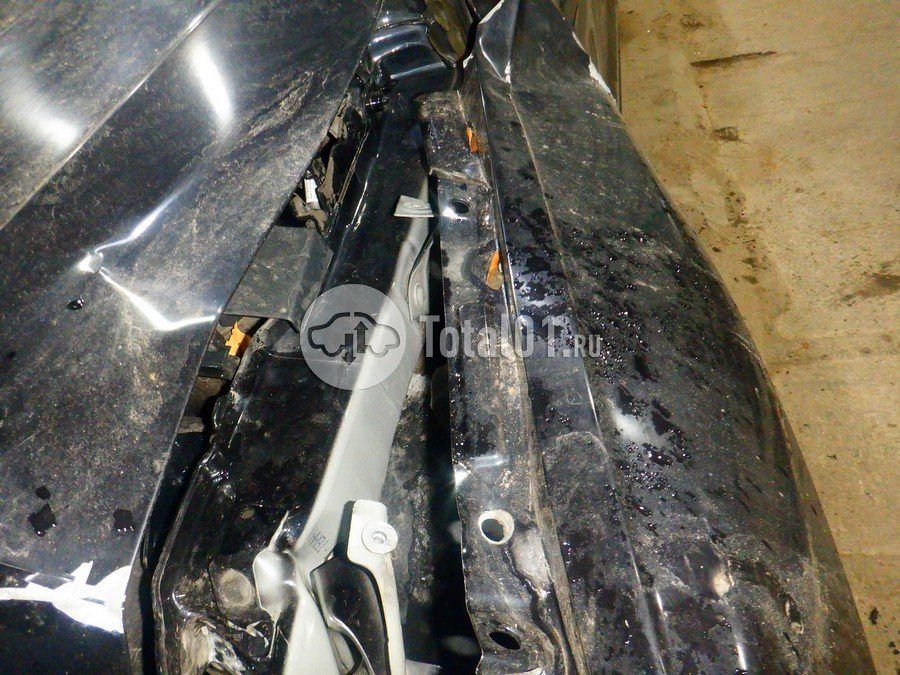 Фото Volkswagen Tiguan 206