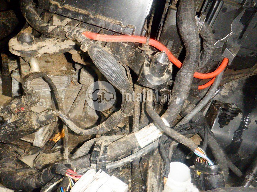 Фото Volkswagen Tiguan 236