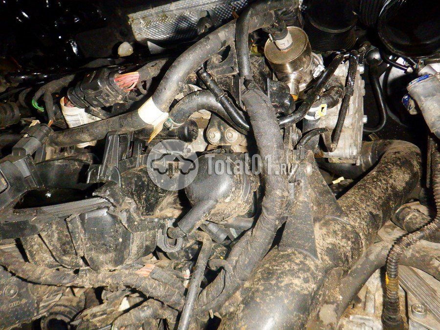 Фото Volkswagen Tiguan 242