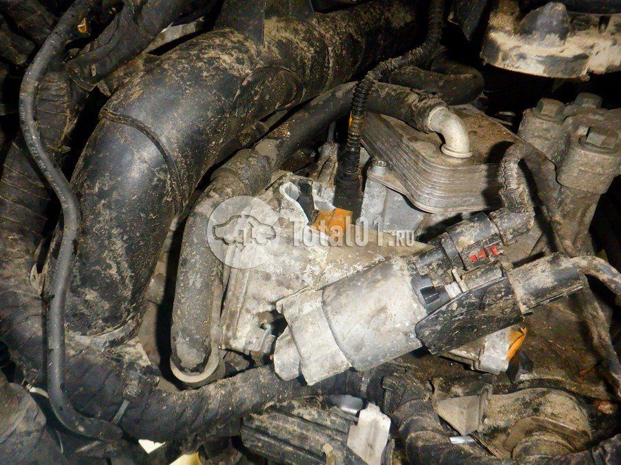 Фото Volkswagen Tiguan 244