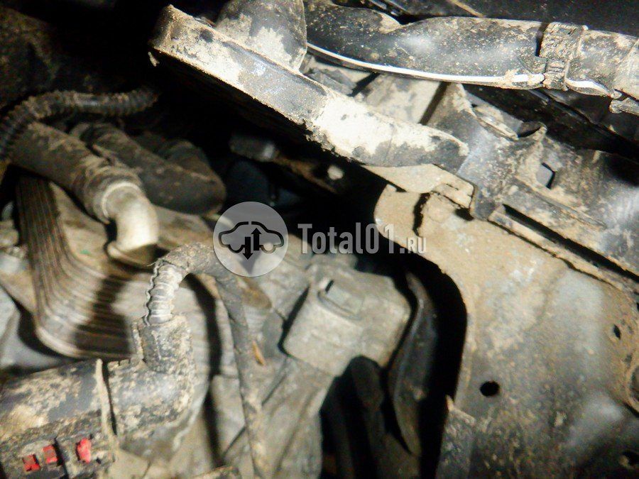 Фото Volkswagen Tiguan 248