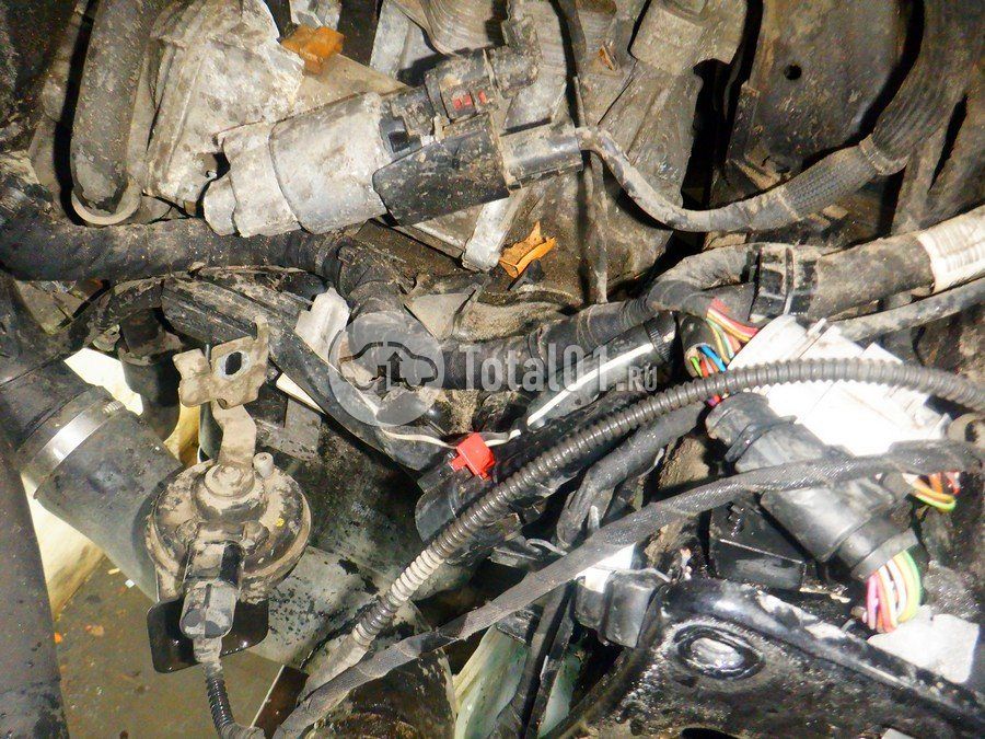 Фото Volkswagen Tiguan 250