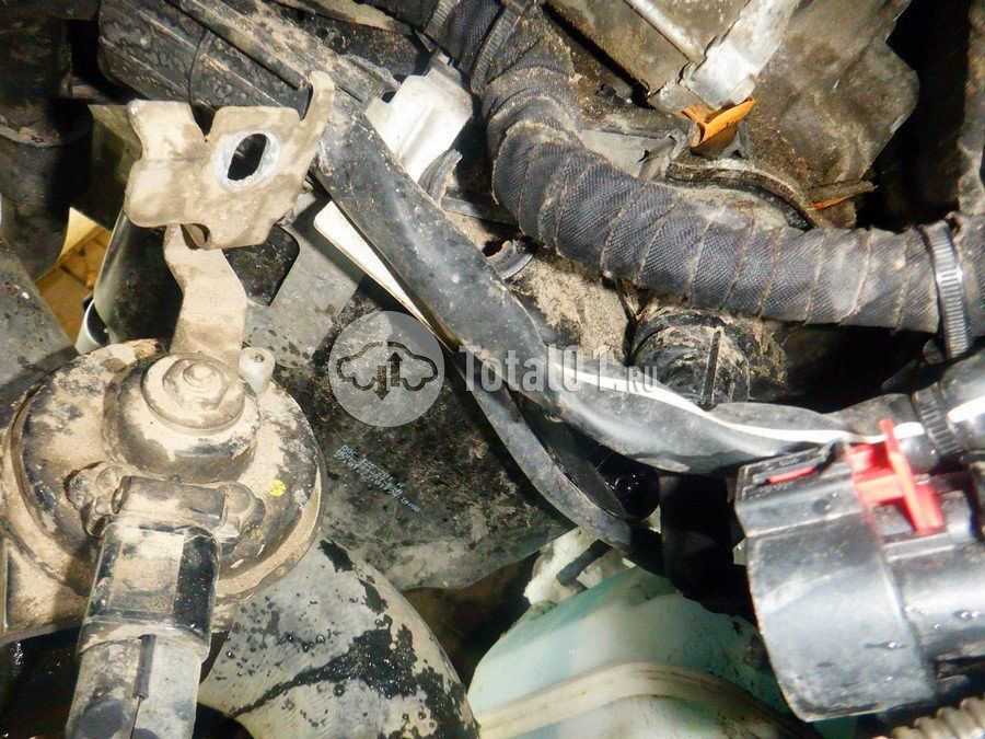 Фото Volkswagen Tiguan 252