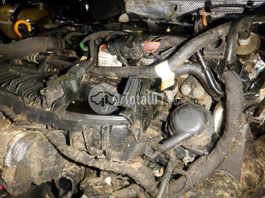 Фото Volkswagen Tiguan 256