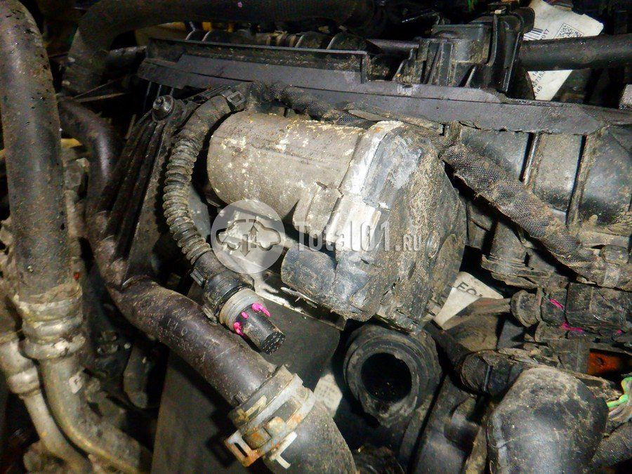 Фото Volkswagen Tiguan 258