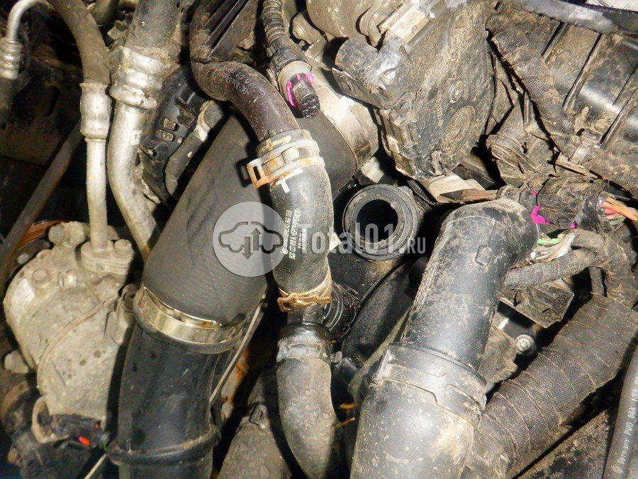 Фото Volkswagen Tiguan 260