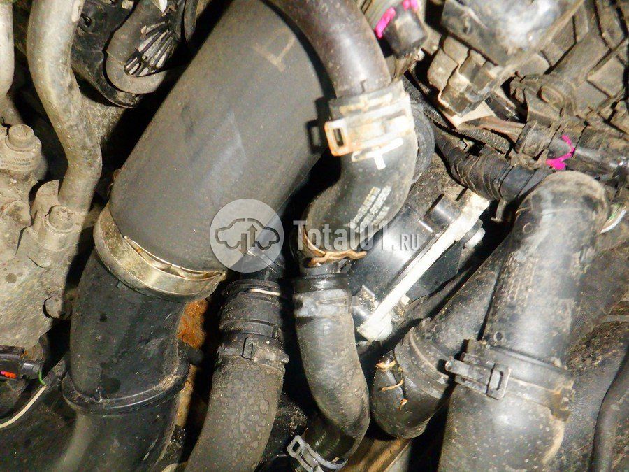 Фото Volkswagen Tiguan 262