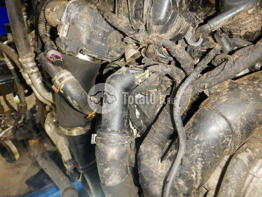 Фото Volkswagen Tiguan 264