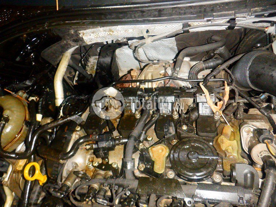 Фото Volkswagen Tiguan 266