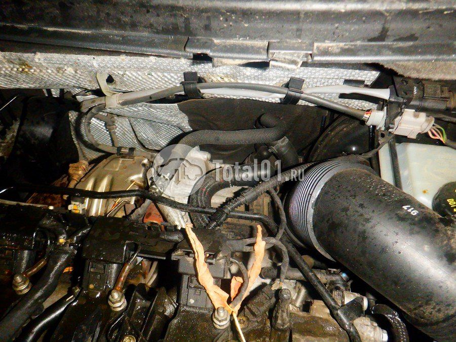 Фото Volkswagen Tiguan 268