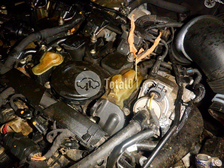 Фото Volkswagen Tiguan 270