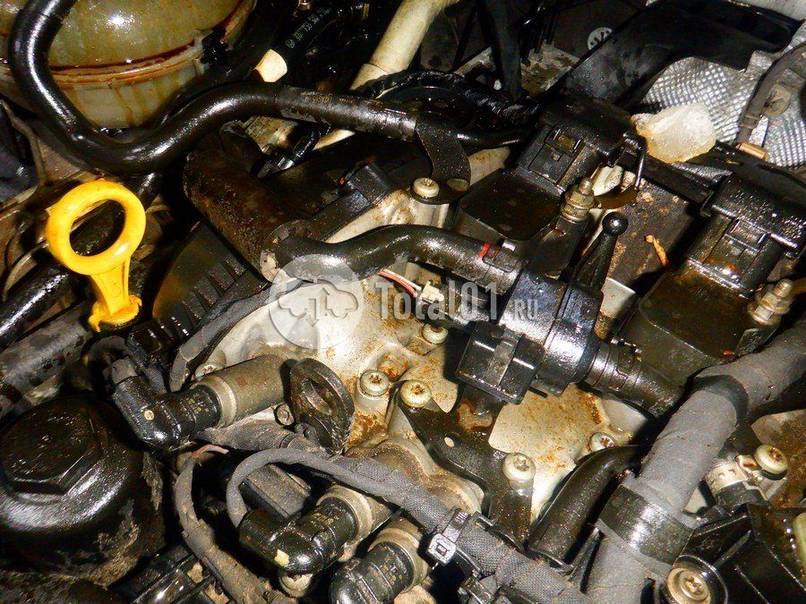 Фото Volkswagen Tiguan 272