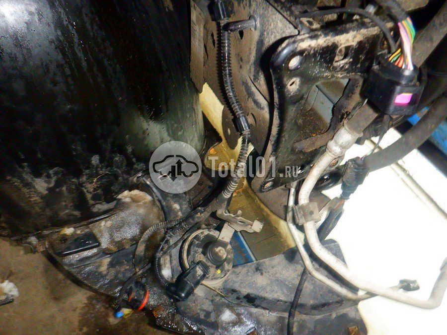 Фото Volkswagen Tiguan 286