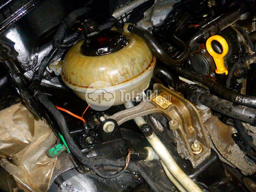 Фото Volkswagen Tiguan 294