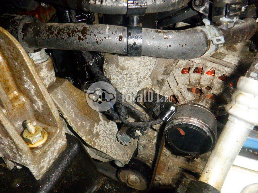 Фото Volkswagen Tiguan 302