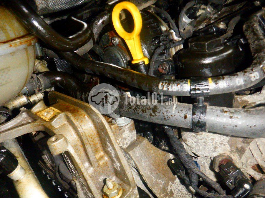 Фото Volkswagen Tiguan 306