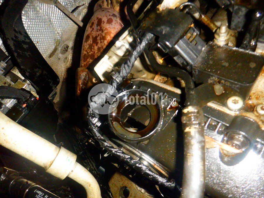 Фото Volkswagen Tiguan 308