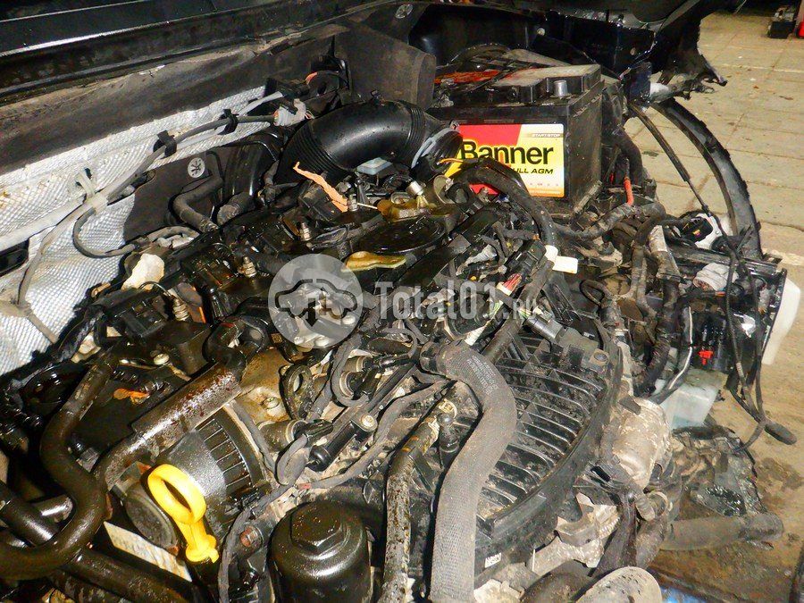 Фото Volkswagen Tiguan 310