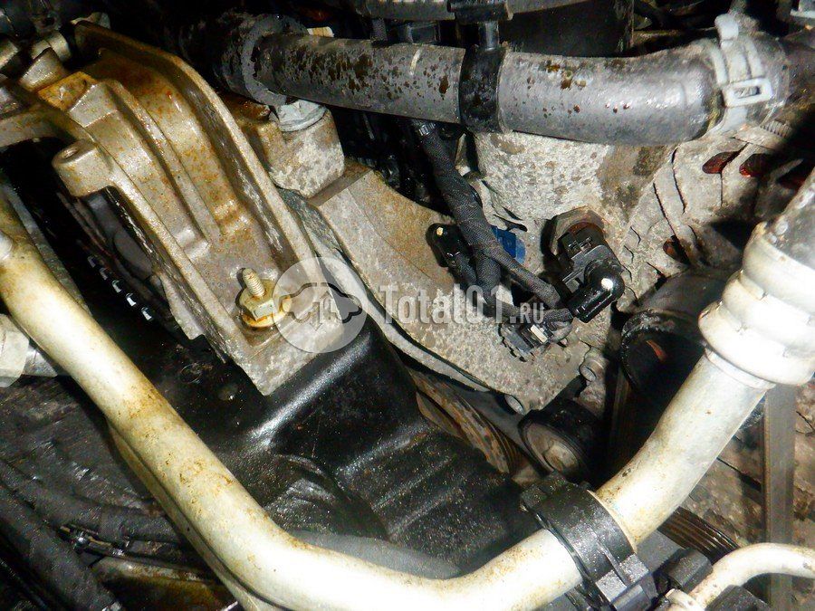 Фото Volkswagen Tiguan 312