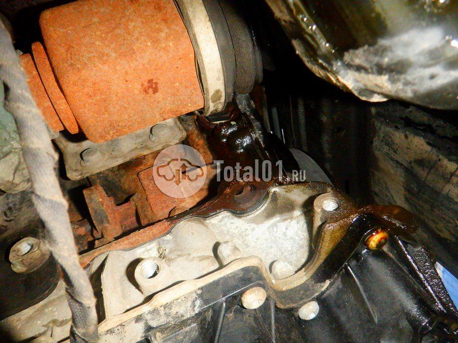 Фото Volkswagen Tiguan 358