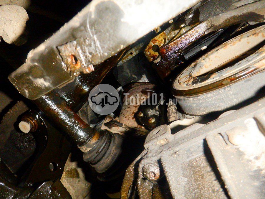 Фото Volkswagen Tiguan 372