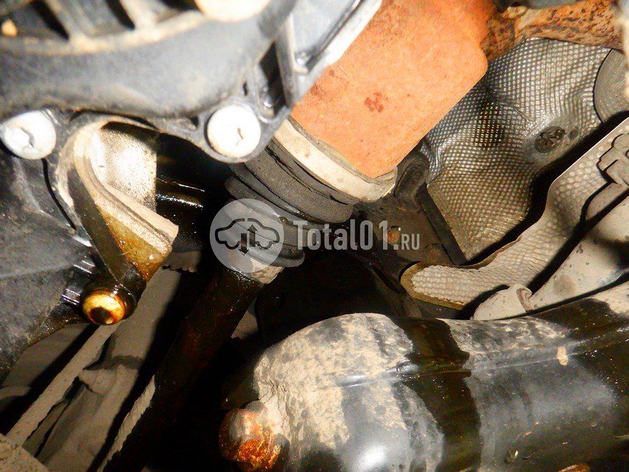 Фото Volkswagen Tiguan 384