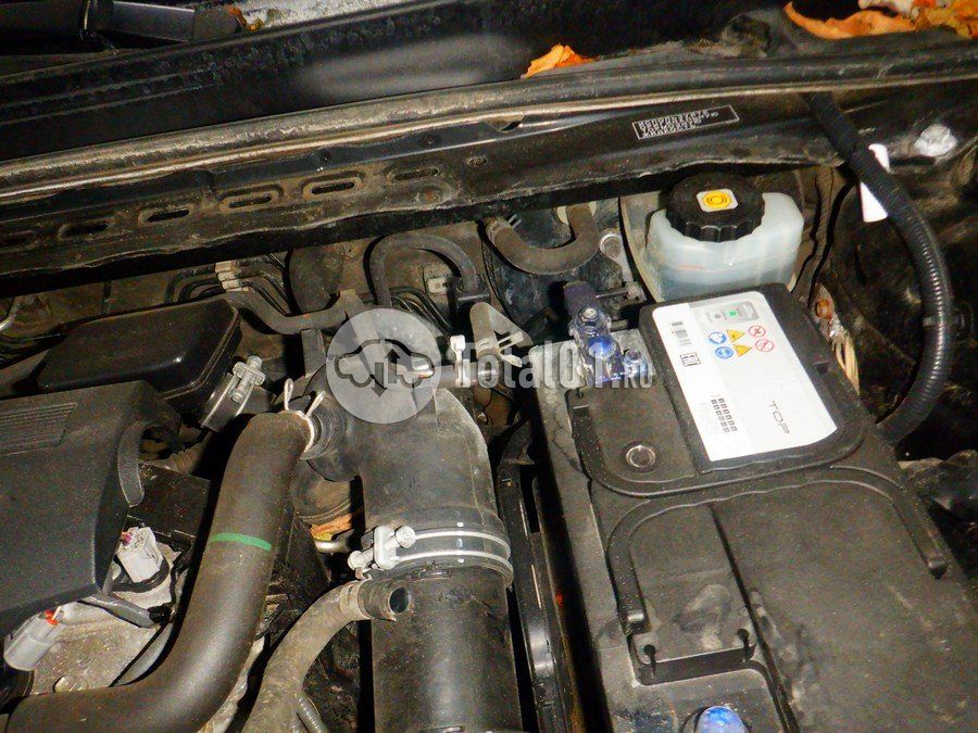 Фото Toyota Camry 206